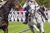 DBPC Polo in the Park 2012: Dawson Group Polo Team #4, David Ashby..
Dallas Burston Polo Club,
Stoneythorpe Estate,
Southam,
Warwickshire,
United Kingdom,
on 16 September 2012 at 13:18, image #142