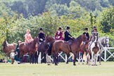 DBPC Polo in the Park 2013, side saddle riding demonstration by the The Side Saddle Association..
Dallas Burston Polo Club, ,
Southam,
Warwickshire,
United Kingdom,
on 01 September 2013 at 12:45, image #211