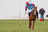 DBPC Polo in the Park 2013, Subsidiary Final Tusk Trophy (4 Goal), Dawson Group vs High Point.
Dallas Burston Polo Club, ,
Southam,
Warwickshire,
United Kingdom,
on 01 September 2013 at 18:36, image #694