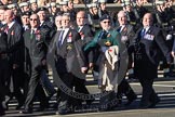 Remembrance Sunday 2012 Cenotaph March Past: Group E8 - The Fleet Air Arm Armourers Association, formed at the outbreak of WW2 to give firepower and air cover to the Atlantic convoys..
Whitehall, Cenotaph,
London SW1,

United Kingdom,
on 11 November 2012 at 11:39, image #94