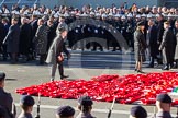 Remembrance Sunday 2012 Cenotaph March Past: Wreaths are placed at the western side of the Cenotaph during the March Past, creating a field of red poppies..
Whitehall, Cenotaph,
London SW1,

United Kingdom,
on 11 November 2012 at 11:53, image #763