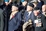 Remembrance Sunday Cenotaph March Past 2013: D6 - Polish Ex-Combatants Association in Great Britain Trust Fund..
Press stand opposite the Foreign Office building, Whitehall, London SW1,
London,
Greater London,
United Kingdom,
on 10 November 2013 at 11:39, image #64