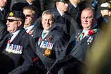 Remembrance Sunday Cenotaph March Past 2013: D23 - South Atlantic Medal Association (SAMA 82): The South Atlantic Medal (1982) is the official name of the medal awarded to almost 30,000 service men and women - and civilians - who took part in the campaign to liberate the Falkland Islands in 1982. The South Atlantic Medal Association is their Association..
Press stand opposite the Foreign Office building, Whitehall, London SW1,
London,
Greater London,
United Kingdom,
on 10 November 2013 at 11:41, image #189