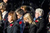 Remembrance Sunday Cenotaph March Past 2013: E30 - Association of WRENS..
Press stand opposite the Foreign Office building, Whitehall, London SW1,
London,
Greater London,
United Kingdom,
on 10 November 2013 at 11:47, image #602