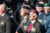 Remembrance Sunday Cenotaph March Past 2013: F1 - British Korean Veterans Association..
Press stand opposite the Foreign Office building, Whitehall, London SW1,
London,
Greater London,
United Kingdom,
on 10 November 2013 at 11:49, image #739