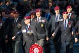 Remembrance Sunday Cenotaph March Past 2013: B22 - Airborne Engineers Association..
Press stand opposite the Foreign Office building, Whitehall, London SW1,
London,
Greater London,
United Kingdom,
on 10 November 2013 at 12:02, image #1484