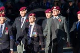 Remembrance Sunday Cenotaph March Past 2013: B22 - Airborne Engineers Association..
Press stand opposite the Foreign Office building, Whitehall, London SW1,
London,
Greater London,
United Kingdom,
on 10 November 2013 at 12:02, image #1496