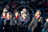 Remembrance Sunday Cenotaph March Past 2013: B39 - Queen Alexandra's Royal Army Nursing Corps Association..
Press stand opposite the Foreign Office building, Whitehall, London SW1,
London,
Greater London,
United Kingdom,
on 10 November 2013 at 12:04, image #1641