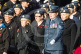 Remembrance Sunday at the Cenotaph in London 2014: Group C2 - Royal Air Force Regiment Association.
Press stand opposite the Foreign Office building, Whitehall, London SW1,
London,
Greater London,
United Kingdom,
on 09 November 2014 at 11:38, image #47