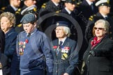 Remembrance Sunday at the Cenotaph in London 2014: Group C16 - Women's Auxiliary Air Force.
Press stand opposite the Foreign Office building, Whitehall, London SW1,
London,
Greater London,
United Kingdom,
on 09 November 2014 at 11:40, image #150