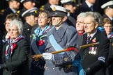 Remembrance Sunday at the Cenotaph in London 2014: Group C23 - Princess Mary's Royal Air Force Nursing Service
Association.
Press stand opposite the Foreign Office building, Whitehall, London SW1,
London,
Greater London,
United Kingdom,
on 09 November 2014 at 11:41, image #193