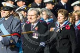 Remembrance Sunday at the Cenotaph in London 2014: Group C23 - Princess Mary's Royal Air Force Nursing Service
Association.
Press stand opposite the Foreign Office building, Whitehall, London SW1,
London,
Greater London,
United Kingdom,
on 09 November 2014 at 11:41, image #194