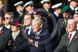 Remembrance Sunday at the Cenotaph in London 2014: Group D6 - TRBL Ex-Service Members.
Press stand opposite the Foreign Office building, Whitehall, London SW1,
London,
Greater London,
United Kingdom,
on 09 November 2014 at 11:44, image #315