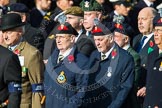 Remembrance Sunday at the Cenotaph in London 2014: Group D12 - North Irish Horse & Irish Regiments Old Comrades
Association.
Press stand opposite the Foreign Office building, Whitehall, London SW1,
London,
Greater London,
United Kingdom,
on 09 November 2014 at 11:44, image #355