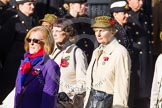Remembrance Sunday at the Cenotaph in London 2014: Group D21 - First Aid Nursing Yeomanry (Princess Royal's Volunteers
Corps).
Press stand opposite the Foreign Office building, Whitehall, London SW1,
London,
Greater London,
United Kingdom,
on 09 November 2014 at 11:46, image #411
