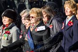 Remembrance Sunday at the Cenotaph in London 2014: Group E24 - Queen Alexandra's Royal Naval Nursing Service.
Press stand opposite the Foreign Office building, Whitehall, London SW1,
London,
Greater London,
United Kingdom,
on 09 November 2014 at 11:52, image #753