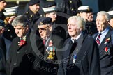 Remembrance Sunday at the Cenotaph in London 2014: Group F15 - National Gulf Veterans & Families Association.
Press stand opposite the Foreign Office building, Whitehall, London SW1,
London,
Greater London,
United Kingdom,
on 09 November 2014 at 11:58, image #1050