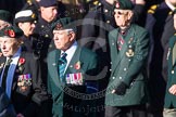 Remembrance Sunday at the Cenotaph in London 2014: Group A6 - King's Royal Rifle Corps Association.
Press stand opposite the Foreign Office building, Whitehall, London SW1,
London,
Greater London,
United Kingdom,
on 09 November 2014 at 12:00, image #1149