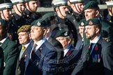Remembrance Sunday at the Cenotaph in London 2014: Group A9 - Royal Green Jackets Association.
Press stand opposite the Foreign Office building, Whitehall, London SW1,
London,
Greater London,
United Kingdom,
on 09 November 2014 at 12:01, image #1195