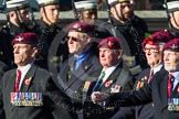 Remembrance Sunday at the Cenotaph in London 2014: Group A10 - Parachute Regimental Association.
Press stand opposite the Foreign Office building, Whitehall, London SW1,
London,
Greater London,
United Kingdom,
on 09 November 2014 at 12:01, image #1214