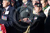 Remembrance Sunday at the Cenotaph in London 2014: Group A11 - Royal Scots Regimental Association.
Press stand opposite the Foreign Office building, Whitehall, London SW1,
London,
Greater London,
United Kingdom,
on 09 November 2014 at 12:02, image #1245