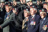 Remembrance Sunday at the Cenotaph in London 2014: Group A12 - King's Own Scottish Borderers.
Press stand opposite the Foreign Office building, Whitehall, London SW1,
London,
Greater London,
United Kingdom,
on 09 November 2014 at 12:02, image #1254