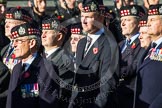 Remembrance Sunday at the Cenotaph in London 2014: Group A12 - King's Own Scottish Borderers.
Press stand opposite the Foreign Office building, Whitehall, London SW1,
London,
Greater London,
United Kingdom,
on 09 November 2014 at 12:02, image #1260