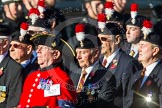 Remembrance Sunday at the Cenotaph in London 2014: Group A27 - Royal Northumberland Fusiliers.
Press stand opposite the Foreign Office building, Whitehall, London SW1,
London,
Greater London,
United Kingdom,
on 09 November 2014 at 12:04, image #1386