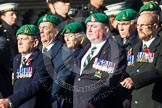 Remembrance Sunday at the Cenotaph in London 2014: Group B1 - Intelligence Corps Association.
Press stand opposite the Foreign Office building, Whitehall, London SW1,
London,
Greater London,
United Kingdom,
on 09 November 2014 at 12:06, image #1482