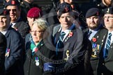 Remembrance Sunday at the Cenotaph in London 2014: Group B11 - Royal Signals Association.
Press stand opposite the Foreign Office building, Whitehall, London SW1,
London,
Greater London,
United Kingdom,
on 09 November 2014 at 12:08, image #1611