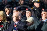 Remembrance Sunday at the Cenotaph in London 2014: Group B19 - Royal Electrical & Mechanical Engineers Association.
Press stand opposite the Foreign Office building, Whitehall, London SW1,
London,
Greater London,
United Kingdom,
on 09 November 2014 at 12:10, image #1725