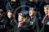 Remembrance Sunday at the Cenotaph in London 2014: Group B25 - Queen Alexandra's Royal Army Nursing Corps Association.
Press stand opposite the Foreign Office building, Whitehall, London SW1,
London,
Greater London,
United Kingdom,
on 09 November 2014 at 12:11, image #1794