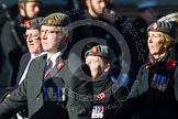 Remembrance Sunday at the Cenotaph in London 2014: Group B25 - Queen Alexandra's Royal Army Nursing Corps Association.
Press stand opposite the Foreign Office building, Whitehall, London SW1,
London,
Greater London,
United Kingdom,
on 09 November 2014 at 12:11, image #1798