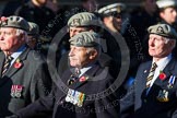 Remembrance Sunday at the Cenotaph in London 2014: Group B26 - Royal Scots Dragoon Guards.
Press stand opposite the Foreign Office building, Whitehall, London SW1,
London,
Greater London,
United Kingdom,
on 09 November 2014 at 12:12, image #1808