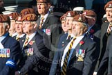 Remembrance Sunday at the Cenotaph in London 2014: Group B29 - Queen's Royal Hussars (The Queen's Own & Royal Irish).
Press stand opposite the Foreign Office building, Whitehall, London SW1,
London,
Greater London,
United Kingdom,
on 09 November 2014 at 12:12, image #1838