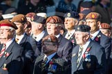 Remembrance Sunday at the Cenotaph in London 2014: Group B29 - Queen's Royal Hussars (The Queen's Own & Royal Irish).
Press stand opposite the Foreign Office building, Whitehall, London SW1,
London,
Greater London,
United Kingdom,
on 09 November 2014 at 12:12, image #1846