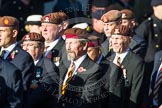 Remembrance Sunday at the Cenotaph in London 2014: Group B29 - Queen's Royal Hussars (The Queen's Own & Royal Irish).
Press stand opposite the Foreign Office building, Whitehall, London SW1,
London,
Greater London,
United Kingdom,
on 09 November 2014 at 12:12, image #1848