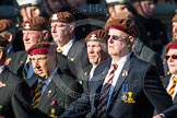 Remembrance Sunday at the Cenotaph in London 2014: Group B29 - Queen's Royal Hussars (The Queen's Own & Royal Irish).
Press stand opposite the Foreign Office building, Whitehall, London SW1,
London,
Greater London,
United Kingdom,
on 09 November 2014 at 12:12, image #1855
