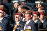 Remembrance Sunday at the Cenotaph in London 2014: Group B29 - Queen's Royal Hussars (The Queen's Own & Royal Irish).
Press stand opposite the Foreign Office building, Whitehall, London SW1,
London,
Greater London,
United Kingdom,
on 09 November 2014 at 12:12, image #1856