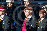 Remembrance Sunday at the Cenotaph in London 2014: Group B29 - Queen's Royal Hussars (The Queen's Own & Royal Irish).
Press stand opposite the Foreign Office building, Whitehall, London SW1,
London,
Greater London,
United Kingdom,
on 09 November 2014 at 12:12, image #1858
