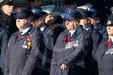Remembrance Sunday at the Cenotaph in London 2014: Group M1 - Transport For London.
Press stand opposite the Foreign Office building, Whitehall, London SW1,
London,
Greater London,
United Kingdom,
on 09 November 2014 at 12:14, image #1963
