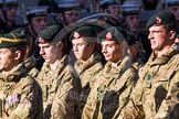 Remembrance Sunday at the Cenotaph in London 2014: Group M47 - Army Cadet Force.
Press stand opposite the Foreign Office building, Whitehall, London SW1,
London,
Greater London,
United Kingdom,
on 09 November 2014 at 12:21, image #2287