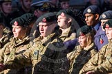 Remembrance Sunday at the Cenotaph in London 2014: Group M47 - Army Cadet Force.
Press stand opposite the Foreign Office building, Whitehall, London SW1,
London,
Greater London,
United Kingdom,
on 09 November 2014 at 12:21, image #2291