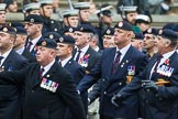 Remembrance Sunday at the Cenotaph 2015: Group B6, Royal Engineers Bomb Disposal Association (Anniversary).
Cenotaph, Whitehall, London SW1,
London,
Greater London,
United Kingdom,
on 08 November 2015 at 11:37, image #48