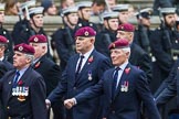 Remembrance Sunday at the Cenotaph 2015: Group B7, Airborne Engineers Association.
Cenotaph, Whitehall, London SW1,
London,
Greater London,
United Kingdom,
on 08 November 2015 at 11:37, image #57