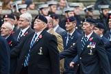 Remembrance Sunday at the Cenotaph 2015: Group B8, Royal Signals Association.
Cenotaph, Whitehall, London SW1,
London,
Greater London,
United Kingdom,
on 08 November 2015 at 11:37, image #65