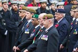 Remembrance Sunday at the Cenotaph 2015: Group B13, Royal Pioneer Corps Association (Anniversary).
Cenotaph, Whitehall, London SW1,
London,
Greater London,
United Kingdom,
on 08 November 2015 at 11:39, image #104