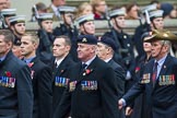 Remembrance Sunday at the Cenotaph 2015: Group B20, Royal Army Physical Training Corps.
Cenotaph, Whitehall, London SW1,
London,
Greater London,
United Kingdom,
on 08 November 2015 at 11:40, image #159