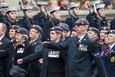 Remembrance Sunday at the Cenotaph 2015: Group B21, Queen Alexandra's Royal Army Nursing Corps Association.
Cenotaph, Whitehall, London SW1,
London,
Greater London,
United Kingdom,
on 08 November 2015 at 11:40, image #162