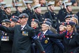 Remembrance Sunday at the Cenotaph 2015: Group B21, Queen Alexandra's Royal Army Nursing Corps Association.
Cenotaph, Whitehall, London SW1,
London,
Greater London,
United Kingdom,
on 08 November 2015 at 11:40, image #163